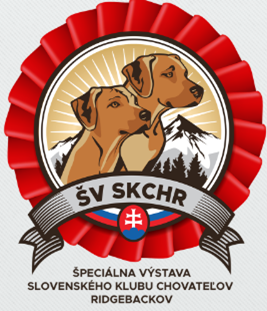 Obrázok, na ktorom je pes, cicavec, kreslený obrázok, text
Automaticky generovaný popis